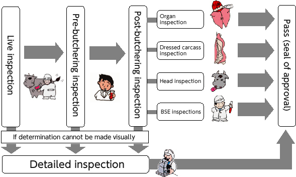 Inspection Flow