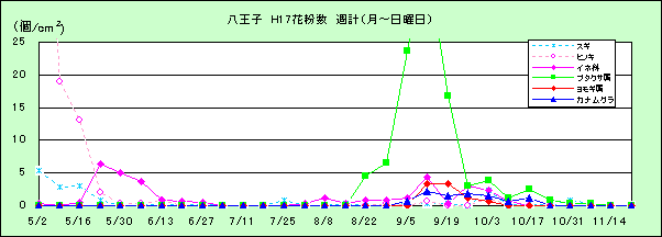 平成17年夏から秋の花粉:八王子の花粉飛散状況