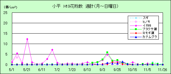 平成19年夏から秋の花粉:小平の花粉飛散状況