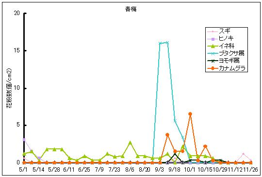 平成24年夏から秋の花粉:青梅の花粉飛散状況