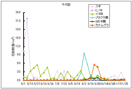 平成25年夏から秋の花粉:千代田の花粉飛散状況