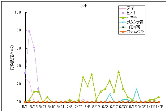 平成25年夏から秋の花粉:小平の花粉飛散状況