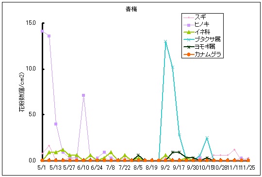 平成25年夏から秋の花粉:青梅の花粉飛散状況