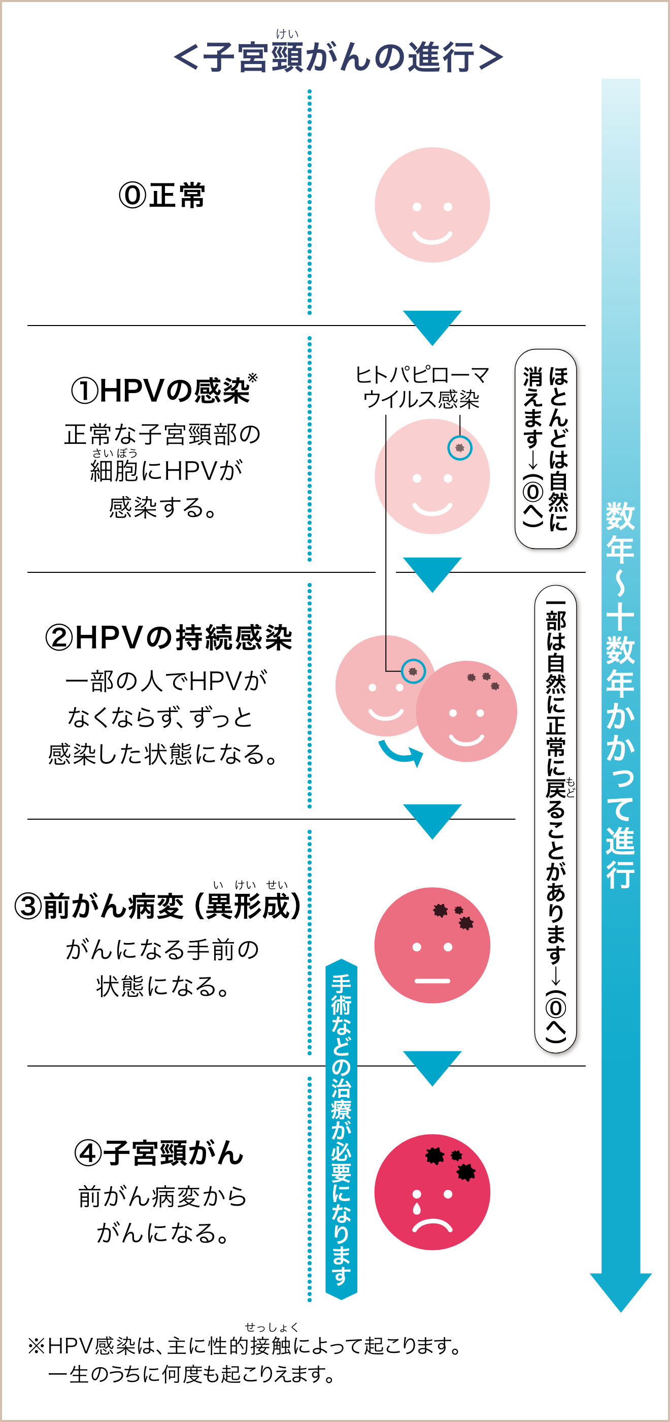 ＜子宮頸がんの進行＞