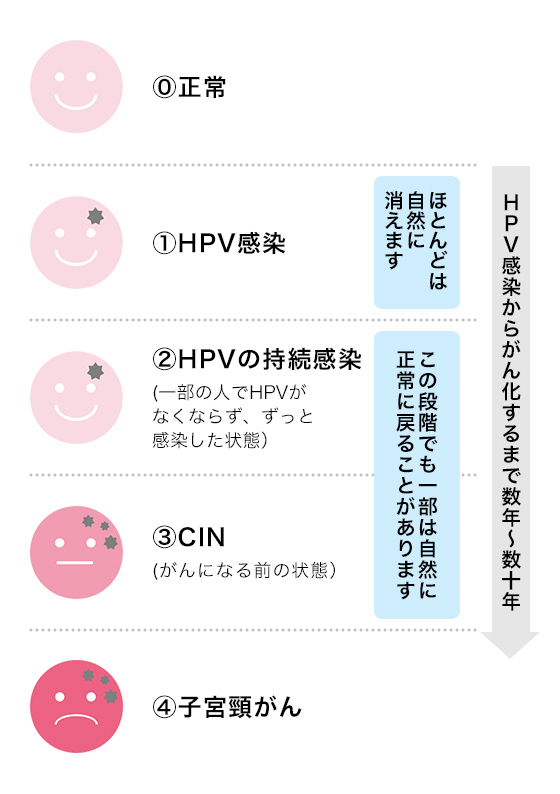 子宮頸がんになるまで 表