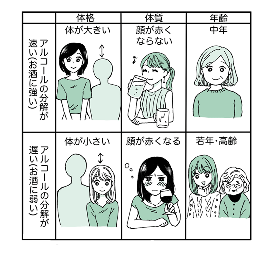 アルコールの分解に影響する主な要因（体格・体質・年齢）　アルコールの分解が速い（お酒に強い人）は体が大きく、顔が赤くならない、中年。アルコールの分解が遅い（お酒に弱い人）は体が小さく、顔が赤くなる、若年・高齢。