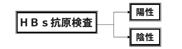 HBs抗原検査