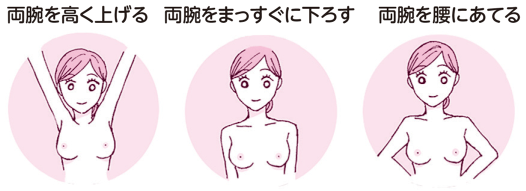 見るときのポイント