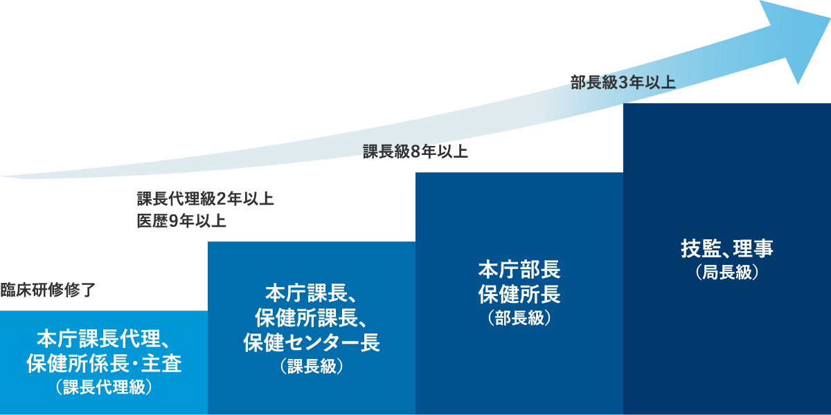 臨床研修修了後、本庁課長代理、保健所係長・主査（課長代理級）として採用。課長代理級２年以上、医歴９年以上で本庁課長、保健所課長、保健センター長（課長級）、課長級８年以上で本庁部長、保健所長（部長級）、部長級３年以上で技監、理事（局長級）。
