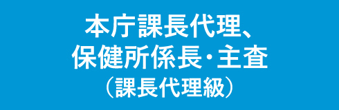 本庁課長代理、保健所係長・主査（課長代理級）