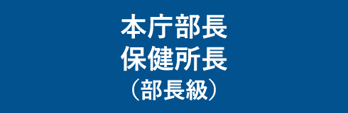 本庁部長 保健所長（部長級）