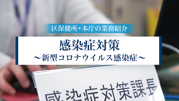 動画再生