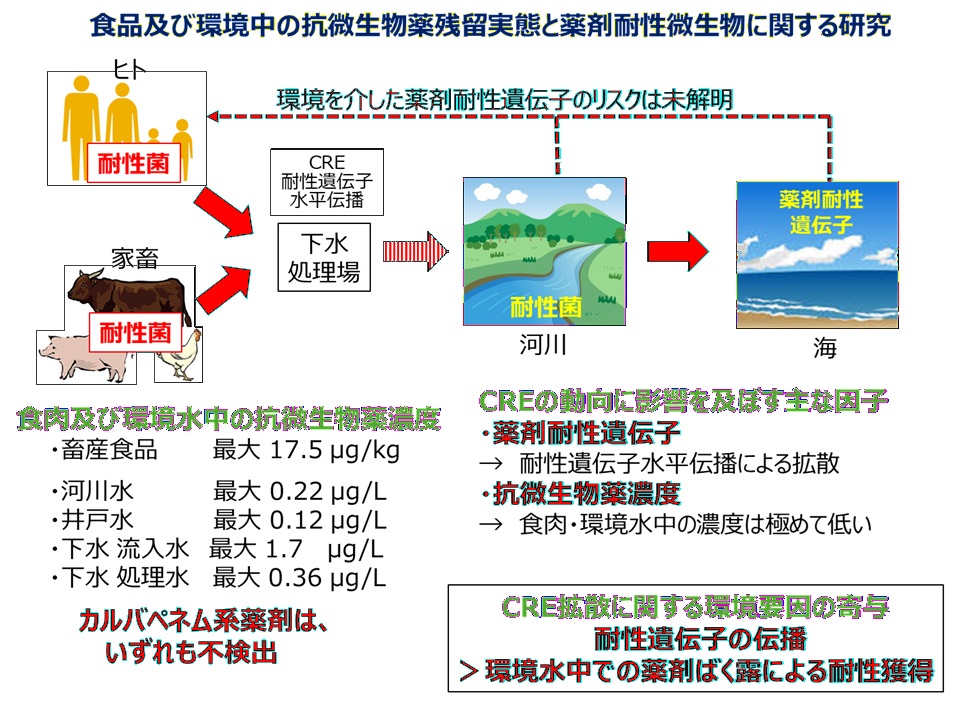 食品及び環境中の抗微生物薬残留実態と薬剤耐性微生物に関する研究