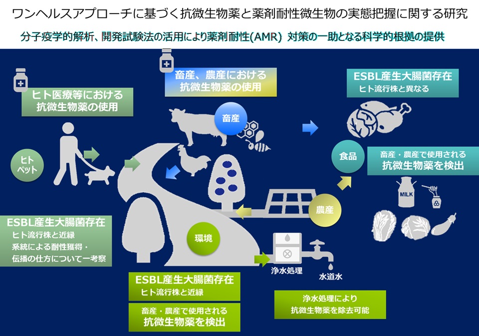 ワンヘルスアプローチに基づく抗微生物薬と薬剤耐性微生物の実態把握に関する研究