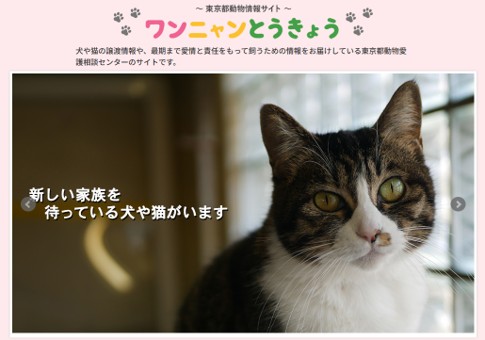 東京都動物情報サイト「ワンニャンとうきょう」