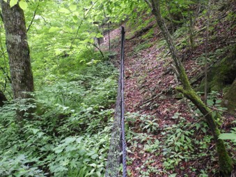 シカ柵の設置の状況