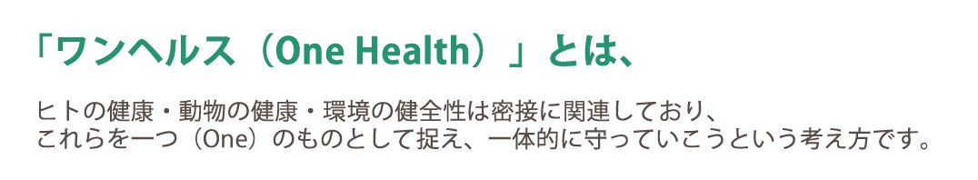 「ワンヘルス（One Health）」とは、ヒトの健康・動物の健康・環境の健全性は密接に関連しており、これらを一つ（One）のものとして捉え、一体的に守っていこうという考え方です。