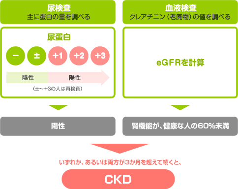 CKDff邽߂̌ɂ