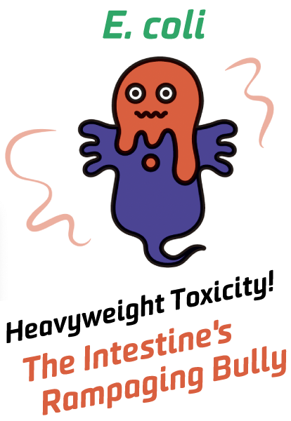E. coli (The Toxic Heavyweight)