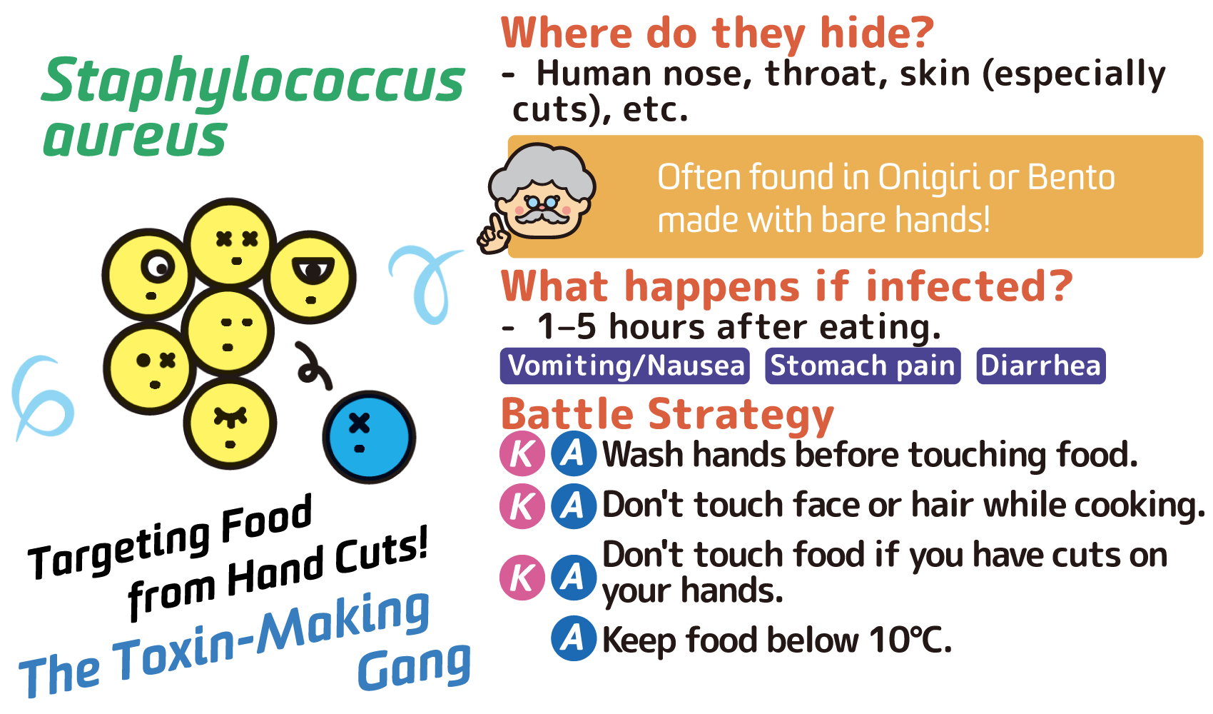 Staphylococcus aureus (The Toxin Factory)