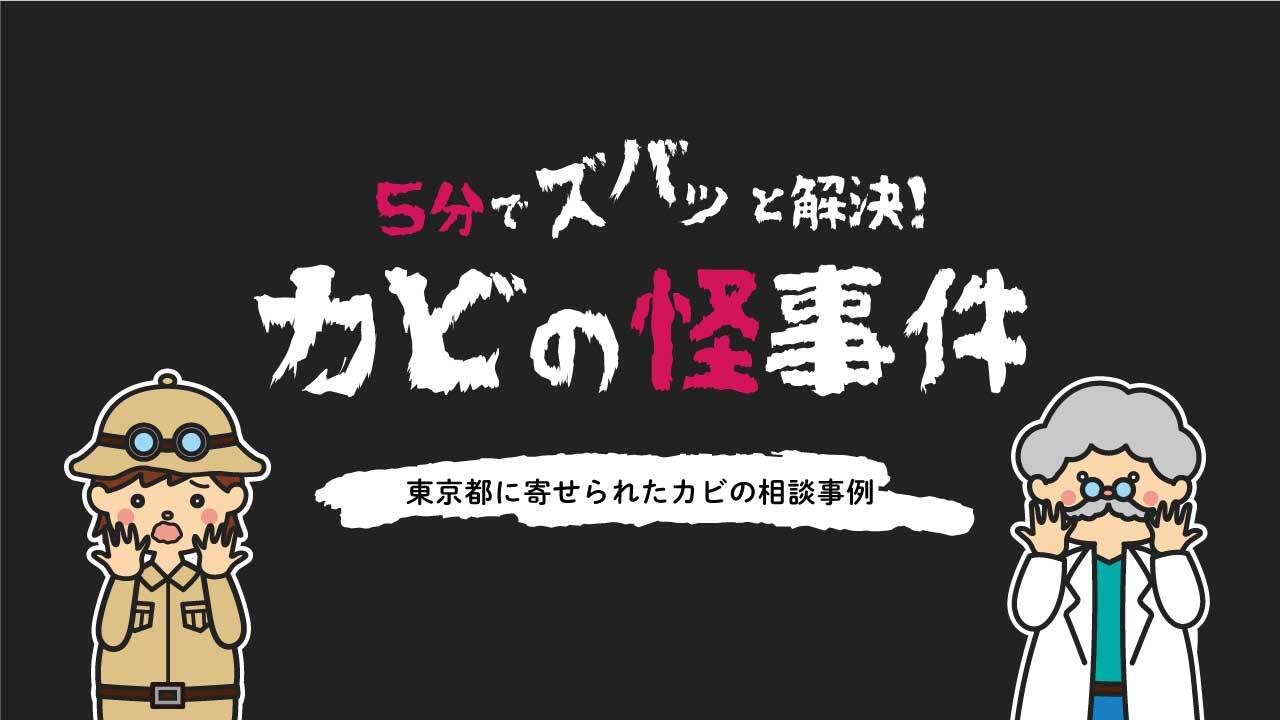 Jr̉