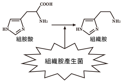 圖