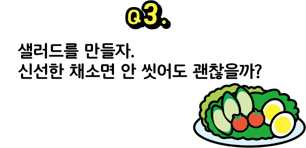 문제 3. 샐러드를 만들자. 신선한 채소면 안 씻어도 괜찮을까?