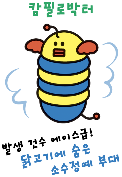 캄필로박터 (잠복 엘리트)