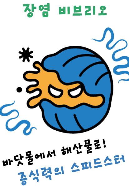 장염 비브리오 (바다의 스피드스터)
