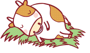 眠る牛