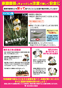 家庭園芸、ちょっとした注意で楽しく安全に