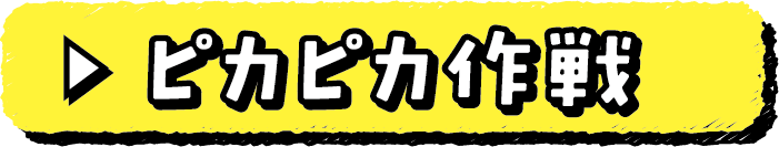 ピカピカ作戦