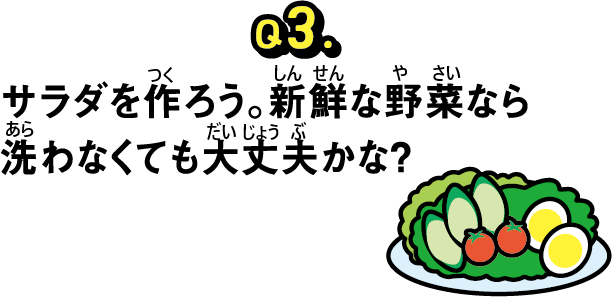 問題３サラダを作ろう。新鮮な野菜なら洗わなくても大丈夫かな？
