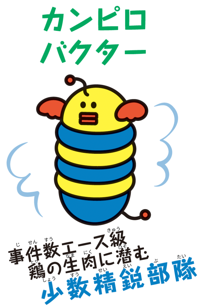 カンピロバクター