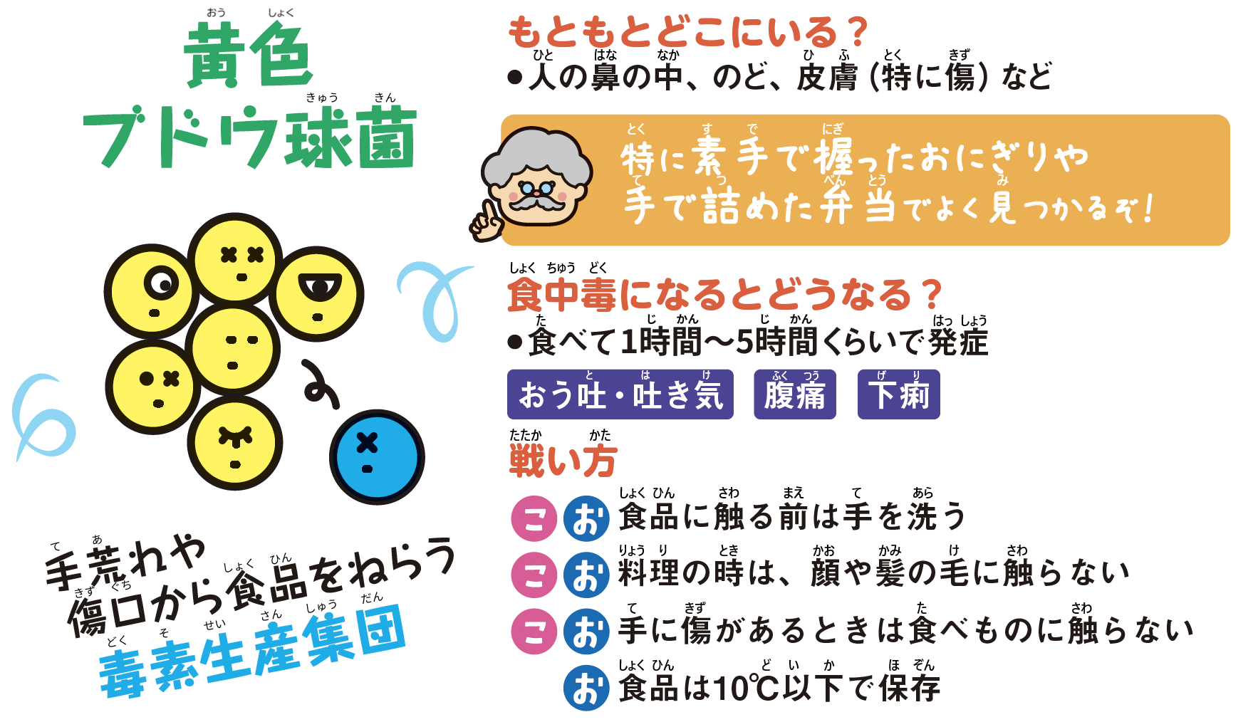 黄色ブドウ球菌。手荒れや傷口から食品を狙う毒素生産集団。