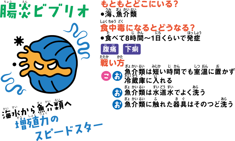 腸炎ビブリオ。海水から魚介類へ増殖力のスピードスター。